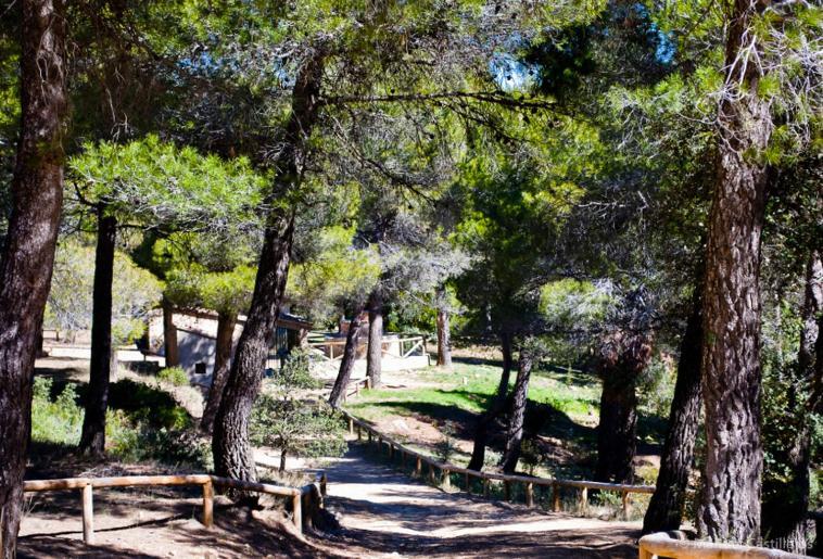 Casas Rurales Tio Segundo Carcelen ภายนอก รูปภาพ