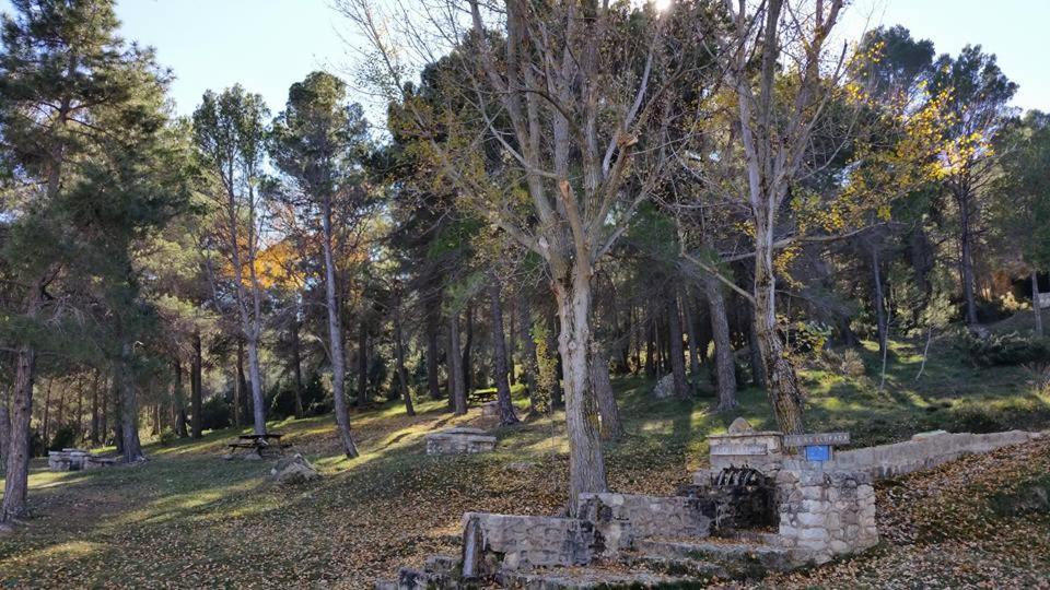 Casas Rurales Tio Segundo Carcelen ภายนอก รูปภาพ
